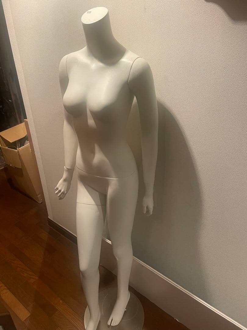 ホワイト 女性用マネキン レディース マネキン 女性 婦人 ヘッドレス ナイスボディー 女性用