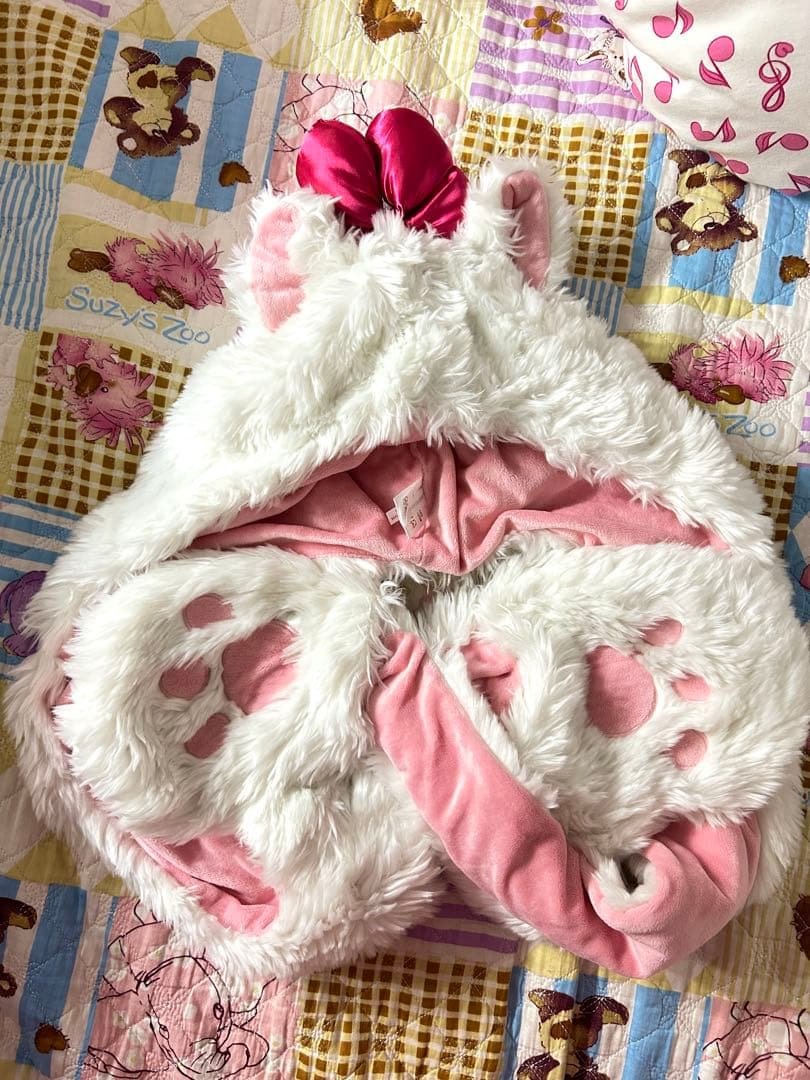 チランジア Tillandsia xerographica チランジア・キセログラフィカ インテリア