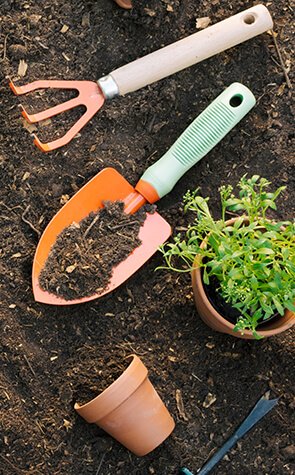 agriprimeindustries.com