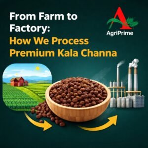 From-Farm-to-Factory-How-We-Process-Premium-Kala-Channa