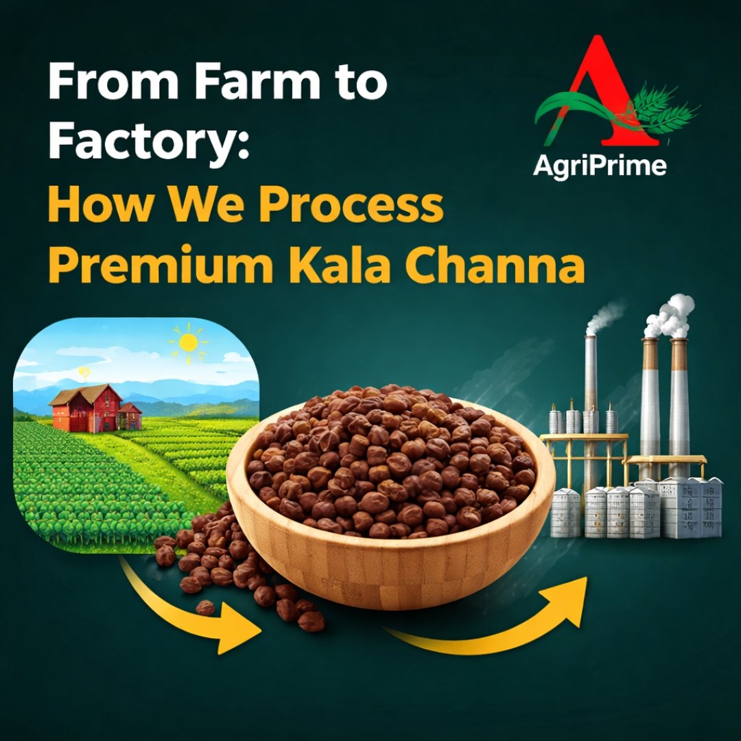 From-Farm-to-Factory-How-We-Process-Premium-Kala-Channa